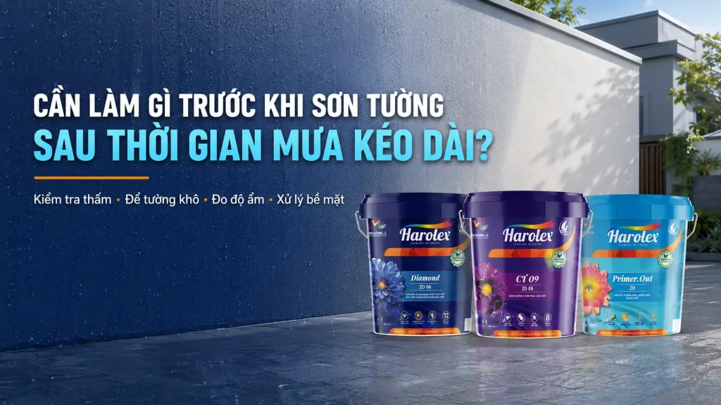 Cần làm gì trước khi sơn tường sau thời gian mưa kéo dài?