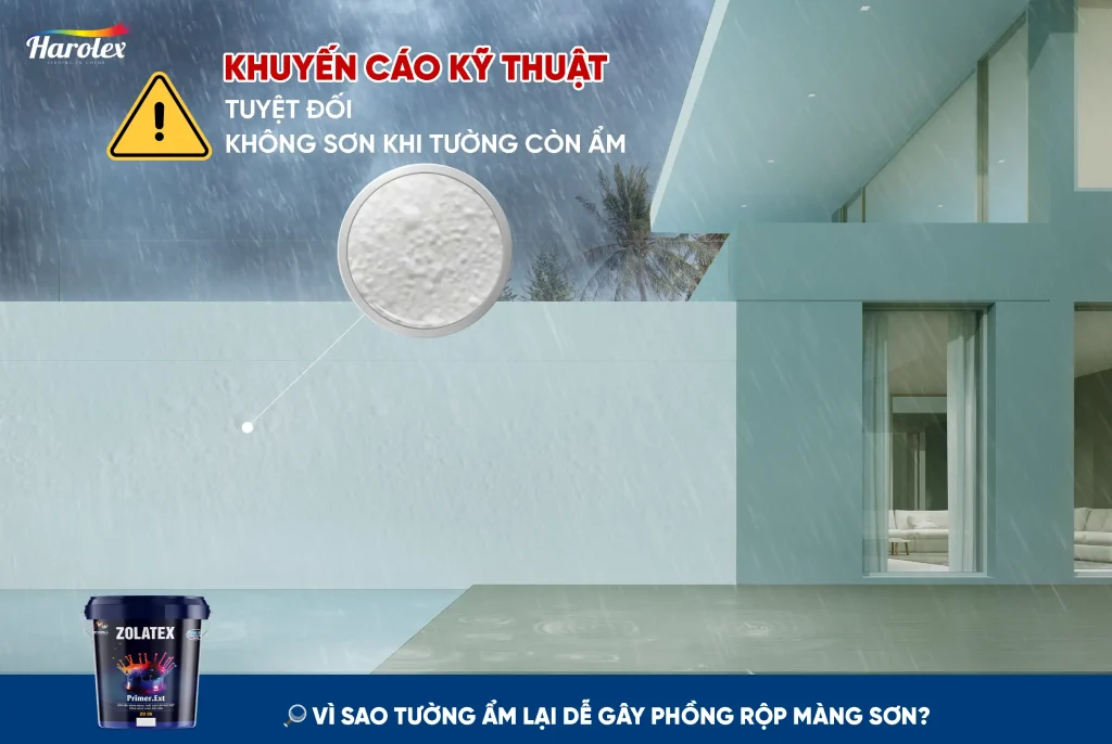 Tường còn ẩm có sơn được không?